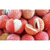 广西荔枝苗，嫁接荔枝苗价格，三月红，糯米糍，无核荔枝苗 