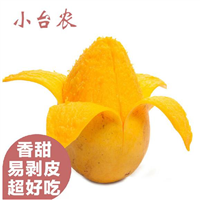 优质台农苗，哪里有台农苗批发 