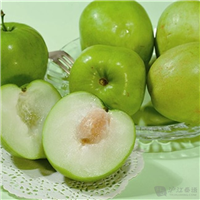 广西哪里有青枣苗卖？广西青枣苗供应