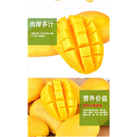 优质芒果苗，嫁接芒果苗，芒果苗结果，芒果苗批发 
