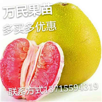 沙田柚，红心蜜柚 