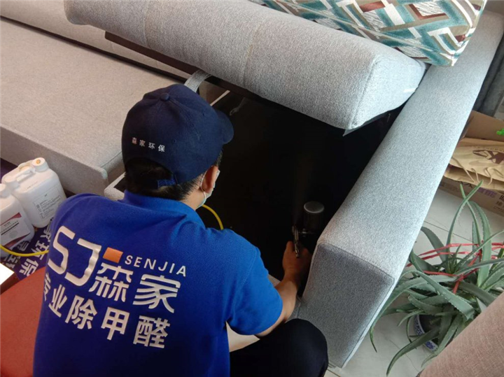 东方银座花园室内除甲醛