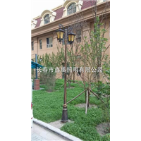 长春路灯批发|长春景观灯