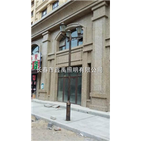 长春景观灯|长春庭院灯