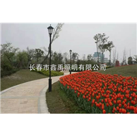 长春路灯安装 |长春路灯厂家