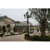 长春路灯厂家|吉林路灯厂家