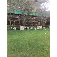 吉林路灯厂家|长春哪里有卖路灯