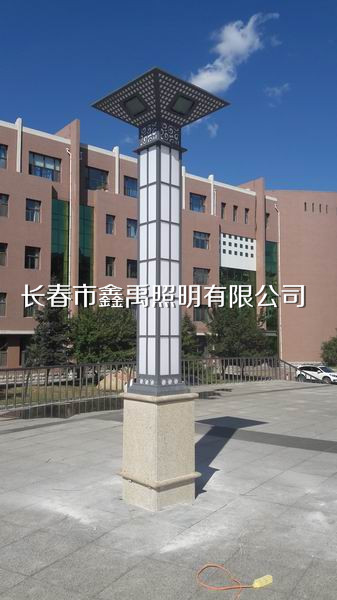 长春市景观灯便宜-【长春市鑫禹照明】