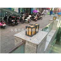 长春路灯厂家|吉林路灯厂家