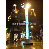 长春路灯批发%长春景观灯厂家