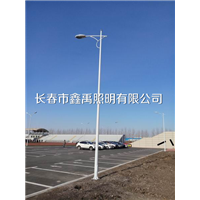 长春高杆灯厂家 