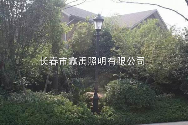 长春路灯安装 |长春路灯厂家