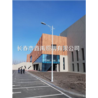 长春高杆灯,长春球场高杆灯,
