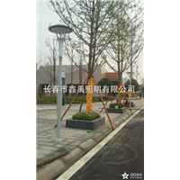 长春路灯价格|吉林路灯价格