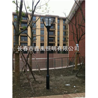 长春太阳能路灯厂|吉林省太阳能路灯厂