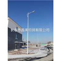 长春高杆灯厂家