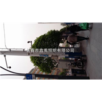 长春路灯价格|吉林路灯价格