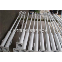 吉林路灯价格|长春景观灯价格