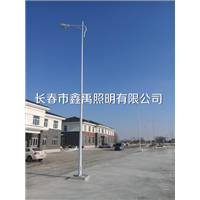 长春哪里有卖高杆灯