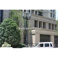 长春路灯厂家#吉林路灯厂家