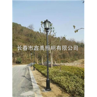 长春路灯安装 |长春路灯厂家