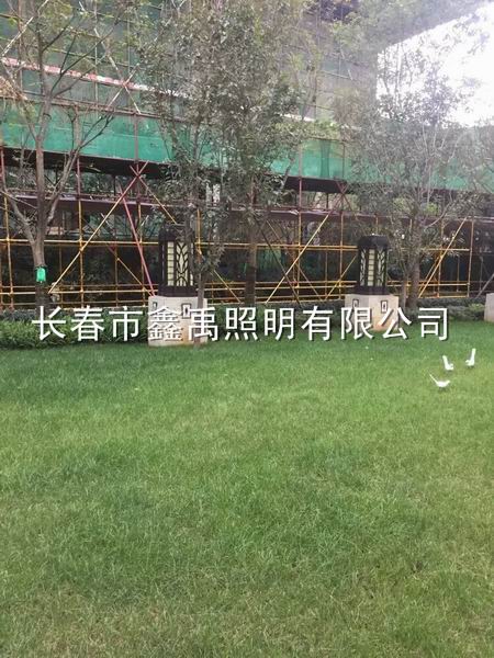 吉林路灯厂家|长春哪里有卖路灯