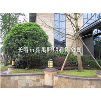 长春路灯批发|长春景观灯