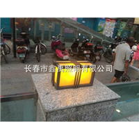 长春路灯厂家|吉林路灯厂家