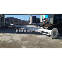 长春路灯厂家