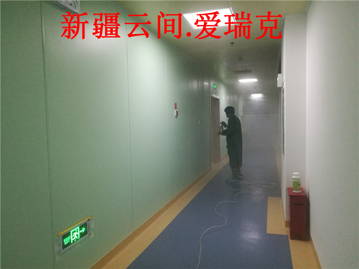 新疆专业除甲醛 