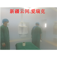 新疆室内除甲醛 
