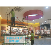乌鲁木齐除甲醛