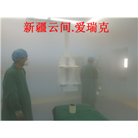 乌鲁木齐新房除甲醛 