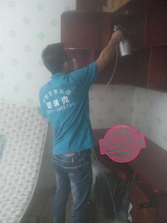 乌鲁木齐甲醛治理 