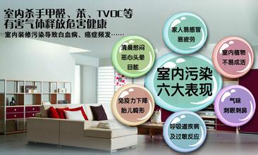 乌鲁木齐专业甲醛治理公司 