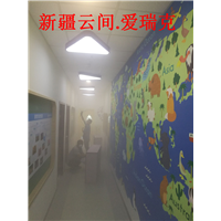 新疆除甲醛 
