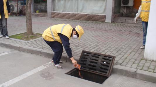 蚌埠专业灭鼠公司 