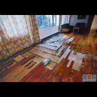 蚌埠灭老鼠公司 