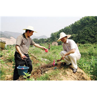 蚌埠工厂灭鼠 