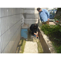 蚌埠专业灭鼠公司 