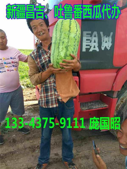 吐鲁番西瓜代办|新疆西瓜代办|新疆西瓜批发|云南西瓜代办| 