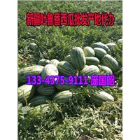 吐鲁番西瓜代办|新疆西瓜代办|新疆西瓜批发|云南西瓜代办| 