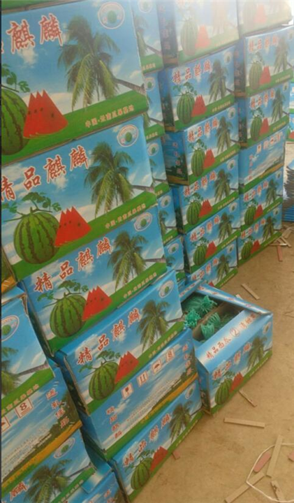 吐鲁番西瓜代办|新疆西瓜代办|新疆西瓜批发|云南西瓜代办| 