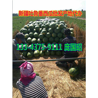 吐鲁番西瓜代办|新疆西瓜代办|新疆西瓜批发|云南西瓜代办| 