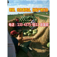 吐鲁番西瓜代办|新疆西瓜代办|吐鲁番西瓜批发 