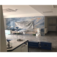 友创为中国检验验证（集团）有限公司进行车内除甲醛