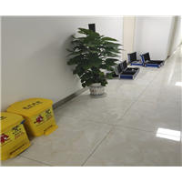 淮安绿地世纪城除甲醛