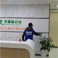 长沙青藤脑启动除甲醛公司