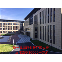 锦州奥鸿药业新厂区办公楼甲醛治理