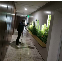 天宇集团荃芬除甲醛施工案例 